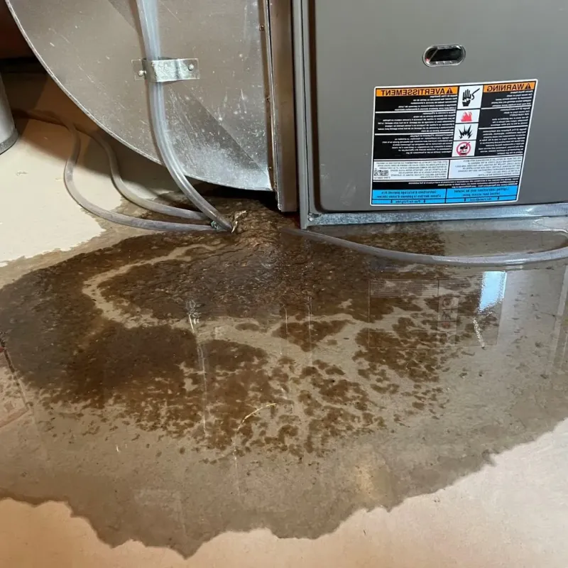 Pipe Burst and Leak Restoration in Cicero, IN